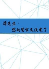 谭先生，您的管家又没电了封面