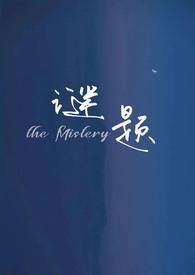 谜题（1v2 哨向）封面