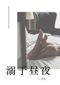 溺于昼夜（高H NP）封面