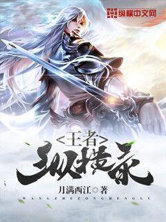 王者纵横录封面