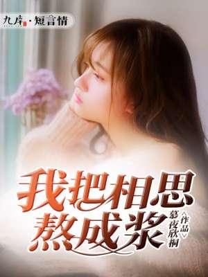 我把相思熬成浆封面