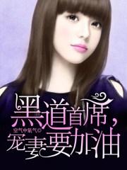 黑道首席，宠妻要加油封面