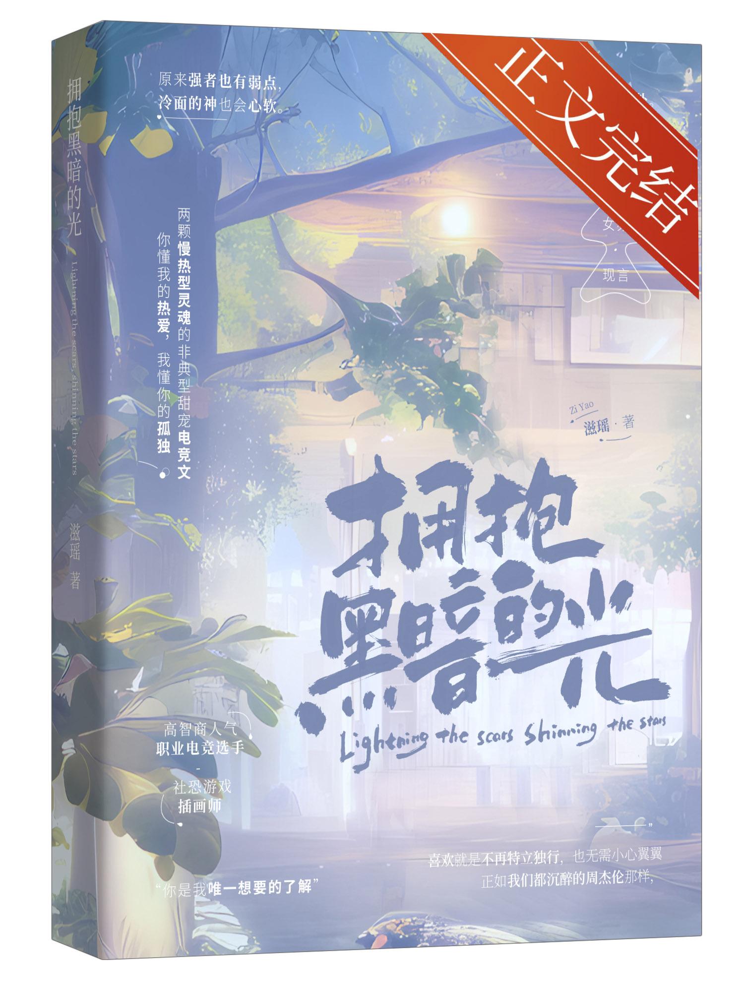 拥抱黑暗的光[电竞]封面