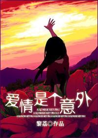 爱情是个意外封面