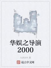 华娱之导演2000封面