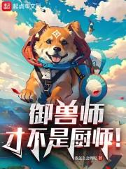 御兽师才不是厨师！封面