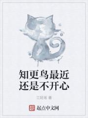 叶晨峰白雪玲封面