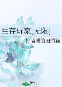 生存玩家[无限]封面
