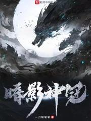暗影神冠封面