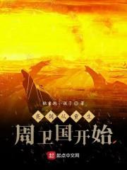 亮剑：从重生周卫国开始封面