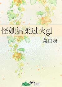 怪她温柔过火gl封面