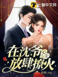 在沈爷心尖放肆撩火封面