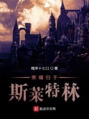 荣耀归于斯莱特林封面