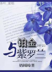 HP之铂金诱惑封面