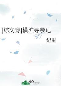 [综文野]横滨寻亲记封面