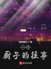 一个厨子的往事封面