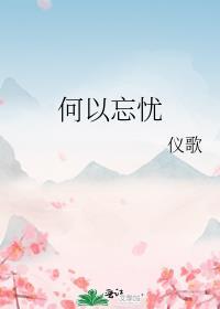 何以忘忧封面