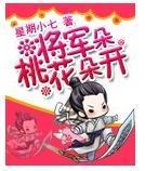 将军桃花朵朵开封面