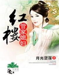 红楼管家媳妇封面