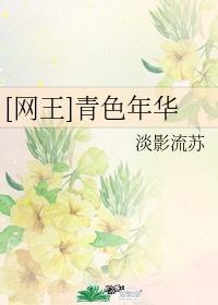 网王 年华转身封面