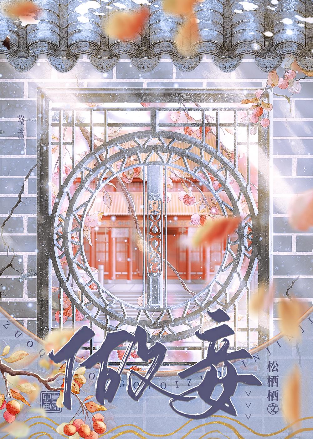 做妾封面