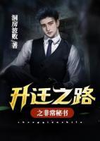 升迁之路之非常秘书封面