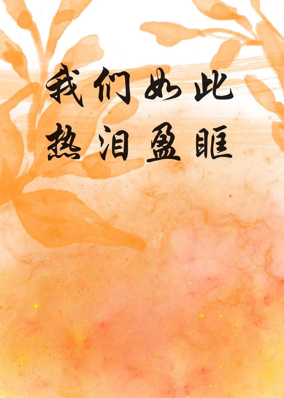 我们如此热泪盈眶封面