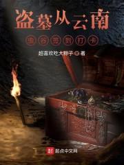 盗墓从云南虫谷签到打卡封面