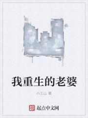 我重生的老婆封面