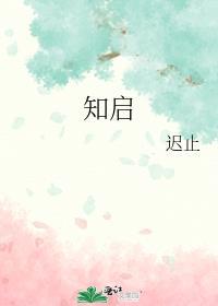知启封面