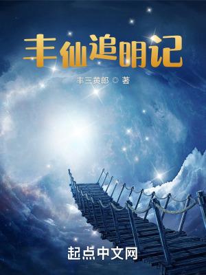 丰仙追明记封面