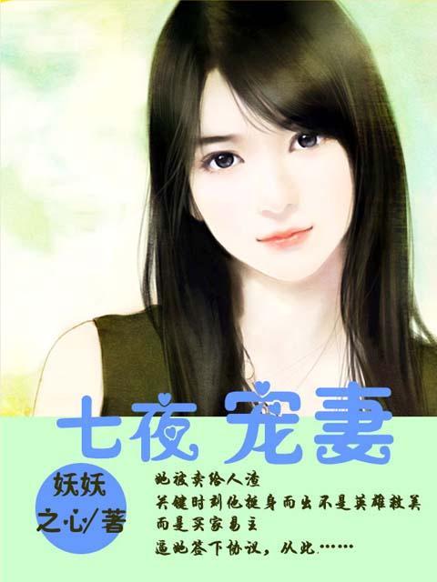 七夜宠妻封面