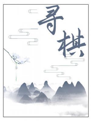 寻棋封面