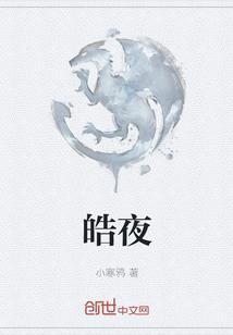 皓夜封面