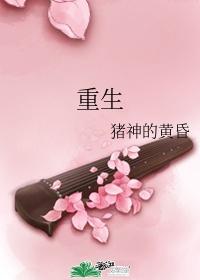 重生之我是驻韩司令封面