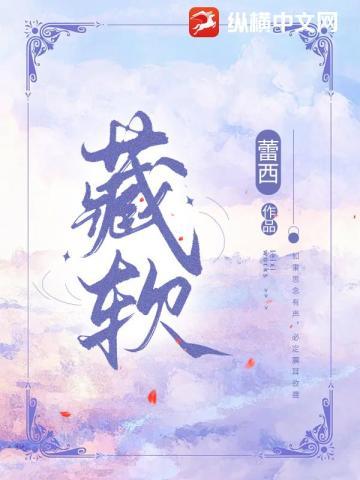 藏软封面
