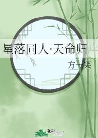 星落同人·天命归封面