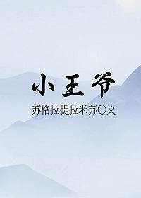 小王爷封面