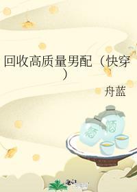 回收高质量男配[快穿]封面