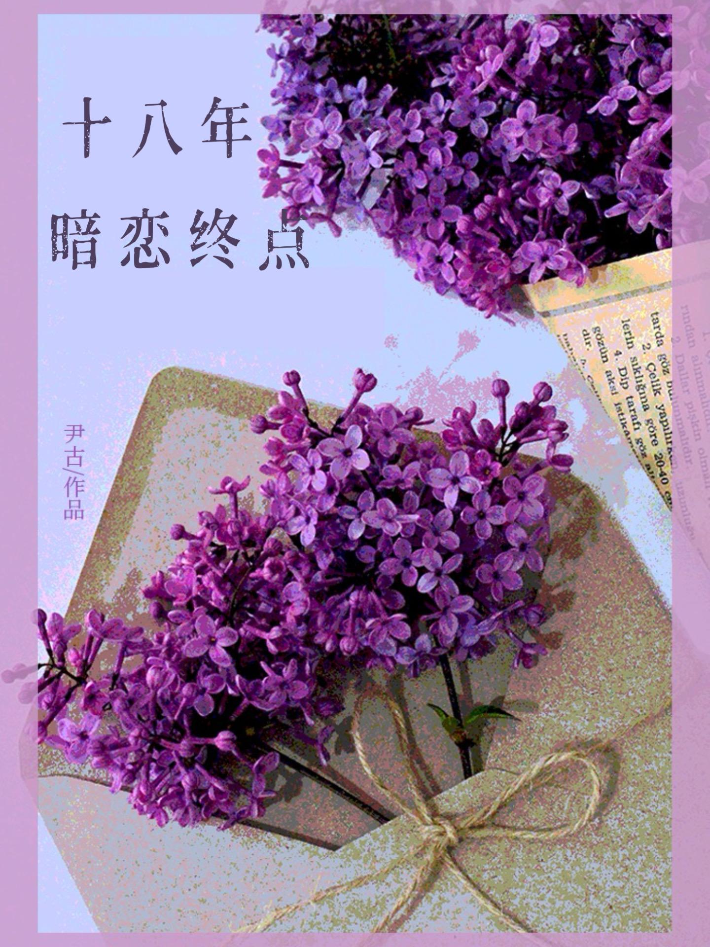 十八年暗恋终点封面