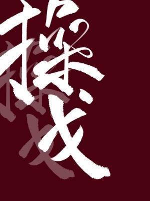 操戈封面