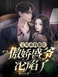 宝贝乖我服软，傲娇盛爷沦陷了封面