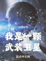 我是一颗武装卫星封面