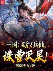 人在季汉，诛曹灭吴封面
