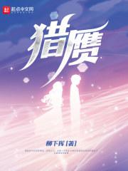 猎赝封面