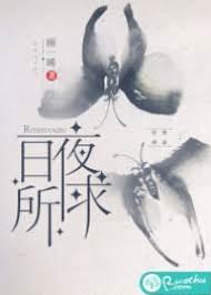 日夜所求封面