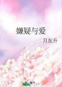 嫌疑与爱封面