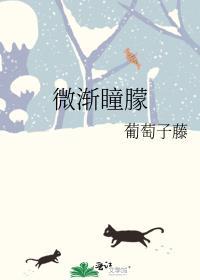 微渐瞳朦封面