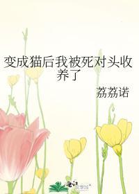 变成猫后我被死对头收养了封面