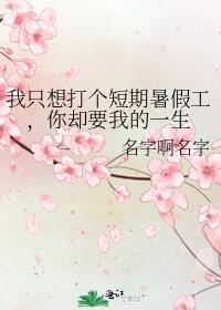 我只想打个短期暑假工，你却要我的一生封面